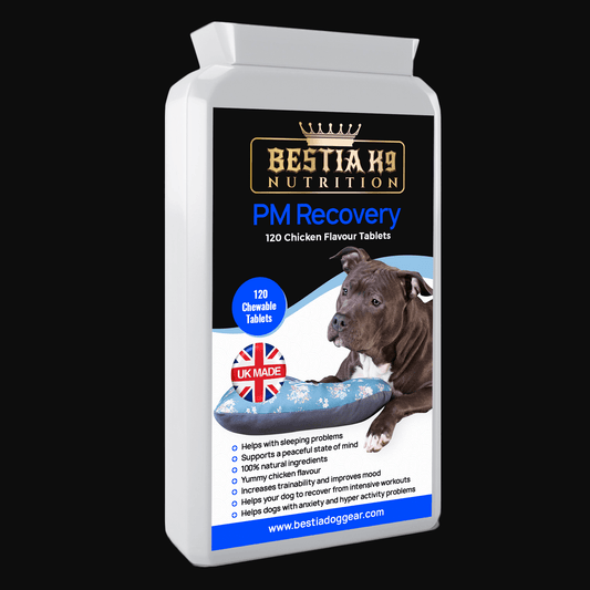 Bestia Dog Sport PM Recovery
